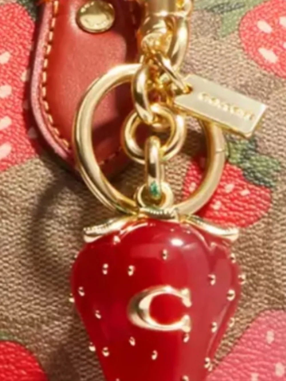 NWT COACH Strawberry Bag Charm Keychain Studded Gold Key Fob Chain